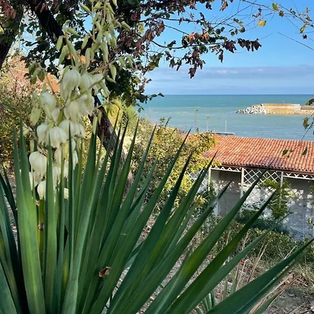 Romance And Apartcomplex Splendid 104 * Saints Constantine and Helena